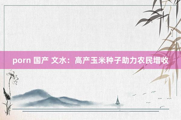 porn 国产 文水：高产玉米种子助力农民增收