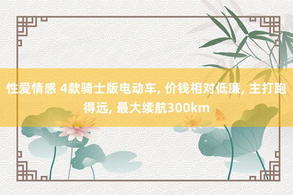 性爱情感 4款骑士版电动车， 价钱相对低廉， 主打跑得远， 最大续航300km