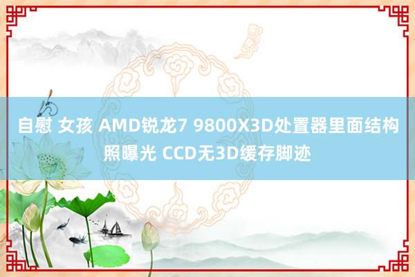 自慰 女孩 AMD锐龙7 9800X3D处置器里面结构照曝光 CCD无3D缓存脚迹