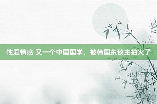 性爱情感 又一个中国国学，被韩国东谈主拍火了