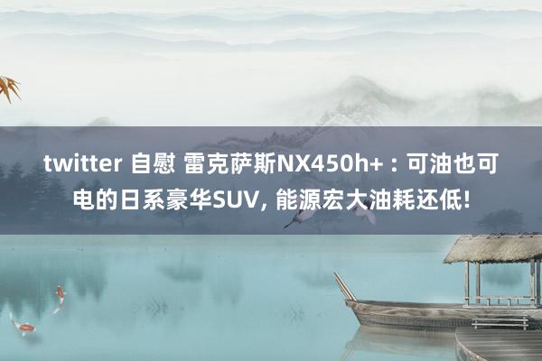 twitter 自慰 雷克萨斯NX450h+ : 可油也可电的日系豪华SUV， 能源宏大油耗还低!