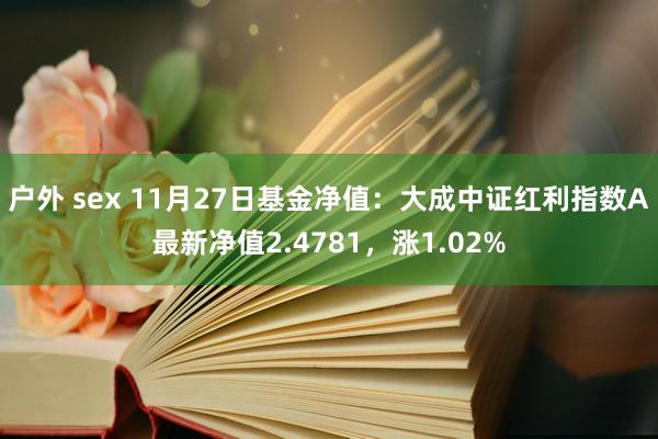 户外 sex 11月27日基金净值：大成中证红利指数A最新净值2.4781，涨1.02%