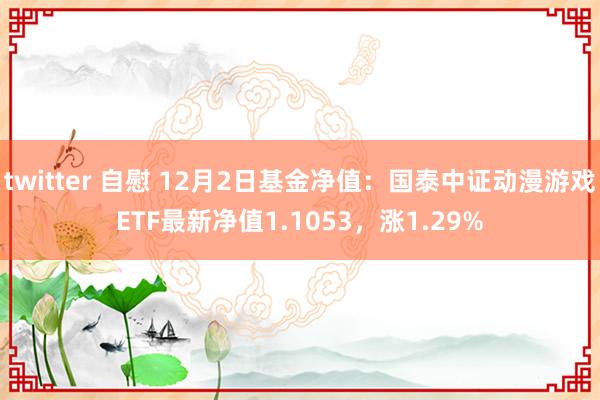 twitter 自慰 12月2日基金净值：国泰中证动漫游戏ETF最新净值1.1053，涨1.29%
