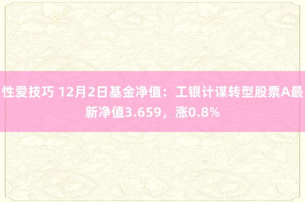 性爱技巧 12月2日基金净值：工银计谋转型股票A最新净值3.659，涨0.8%