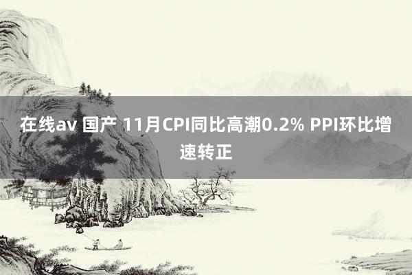 在线av 国产 11月CPI同比高潮0.2% PPI环比增速转正
