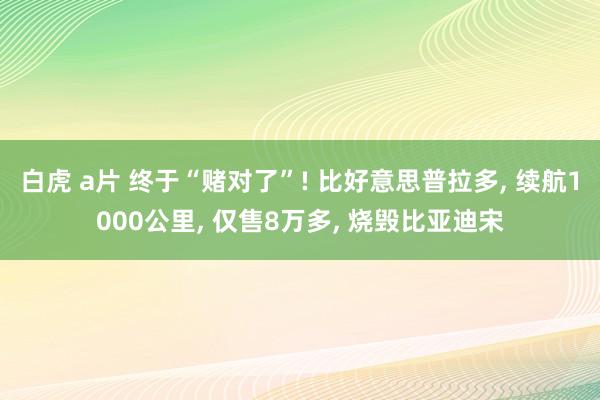 白虎 a片 终于“赌对了”! 比好意思普拉多， 续航1000公里， 仅售8万多， 烧毁比亚迪宋