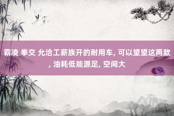 霸凌 拳交 允洽工薪族开的耐用车， 可以望望这两款， 油耗低能源足， 空间大
