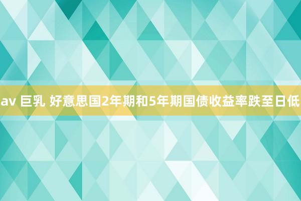 av 巨乳 好意思国2年期和5年期国债收益率跌至日低