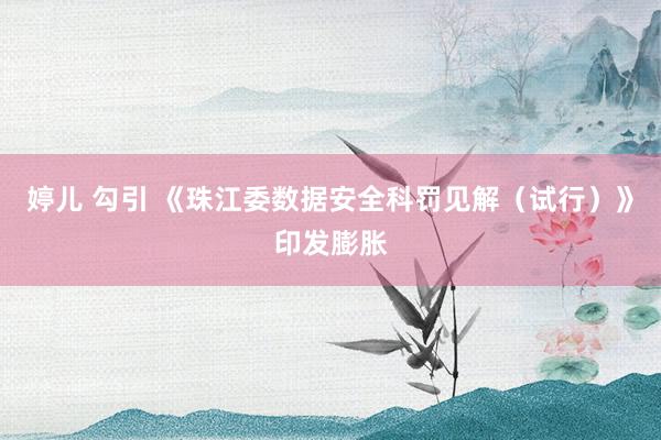 婷儿 勾引 《珠江委数据安全科罚见解（试行）》印发膨胀