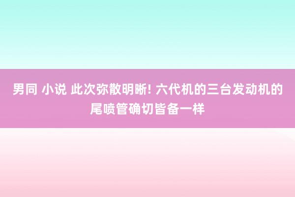 男同 小说 此次弥散明晰! 六代机的三台发动机的尾喷管确切皆备一样