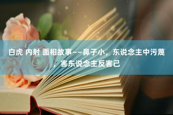 白虎 内射 面相故事——鼻子小，东说念主中污蔑，害东说念主反害己