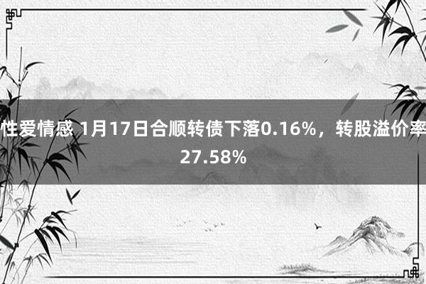 性爱情感 1月17日合顺转债下落0.16%，转股溢价率27.58%