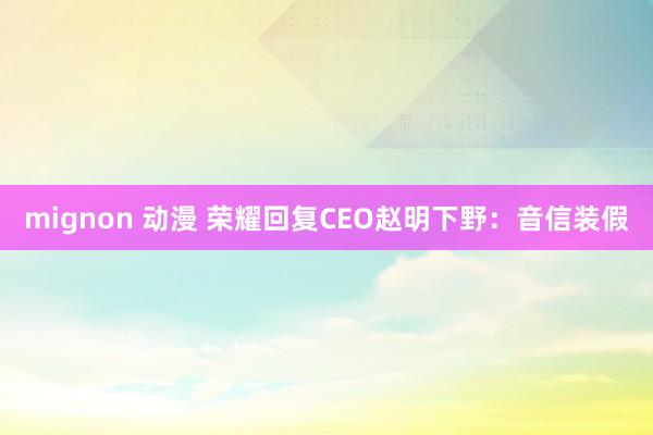 mignon 动漫 荣耀回复CEO赵明下野：音信装假