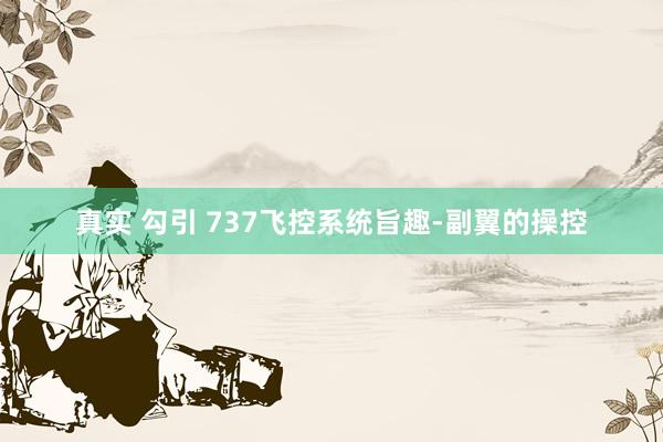 真实 勾引 737飞控系统旨趣-副翼的操控