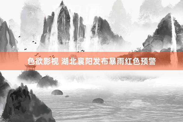 色欲影视 湖北襄阳发布暴雨红色预警