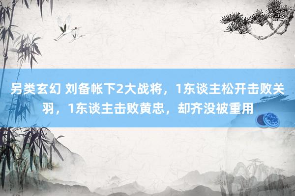 另类玄幻 刘备帐下2大战将，1东谈主松开击败关羽，1东谈主击败黄忠，却齐没被重用