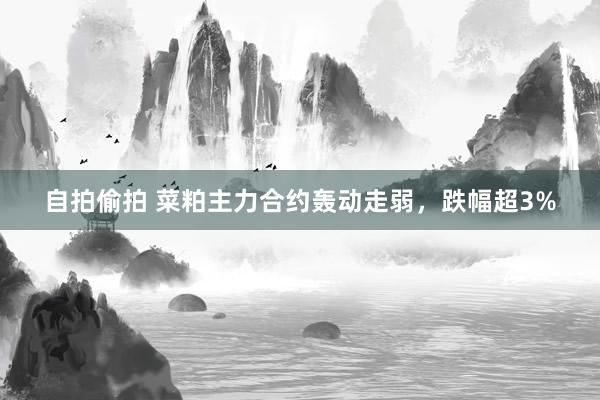 自拍偷拍 菜粕主力合约轰动走弱，跌幅超3%