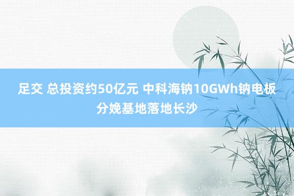 足交 总投资约50亿元 中科海钠10GWh钠电板分娩基地落地长沙