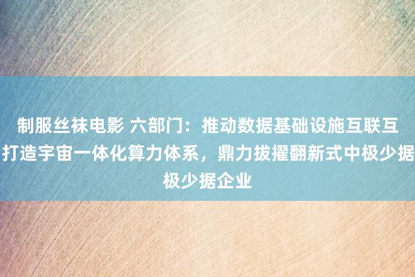 制服丝袜电影 六部门：推动数据基础设施互联互通，打造宇宙一体化算力体系，鼎力拔擢翻新式中极少据企业