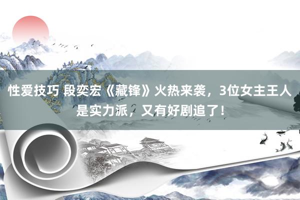 性爱技巧 段奕宏《藏锋》火热来袭，3位女主王人是实力派，又有好剧追了！