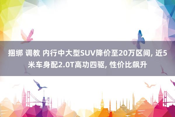 捆绑 调教 内行中大型SUV降价至20万区间， 近5米车身配2.0T高功四驱， 性价比飙升