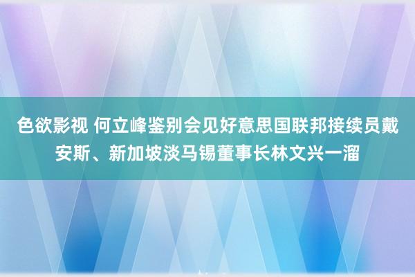 色欲影视 何立峰鉴别会见好意思国联邦接续员戴安斯、新加坡淡马锡董事长林文兴一溜