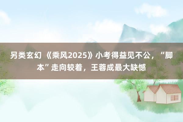 另类玄幻 《乘风2025》小考得益见不公，“脚本”走向较着，王蓉成最大缺憾