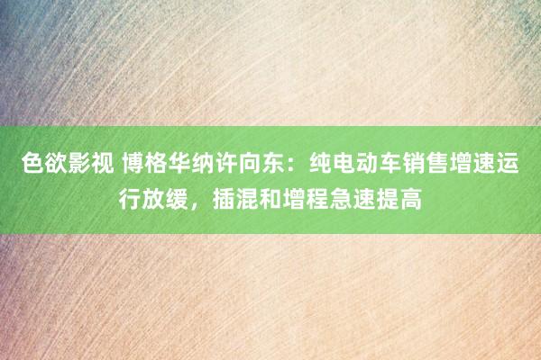 色欲影视 博格华纳许向东：纯电动车销售增速运行放缓，插混和增程急速提高