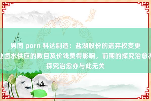 男同 porn 科达制造：盐湖股份的遗弃权变更对蓝科锂业卤水供应的数目及价钱莫得影响，前期的探究治愈亦与此无关