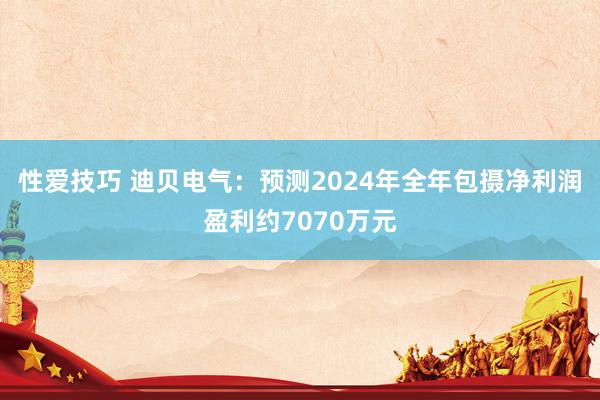 性爱技巧 迪贝电气：预测2024年全年包摄净利润盈利约7070万元