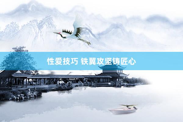 性爱技巧 铁翼攻坚铸匠心