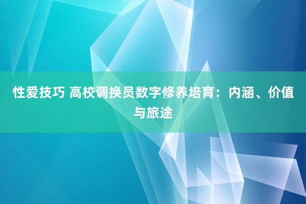 性爱技巧 高校调换员数字修养培育：内涵、价值与旅途
