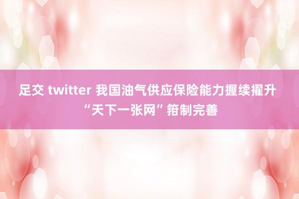足交 twitter 我国油气供应保险能力握续擢升 “天下一张网”箝制完善