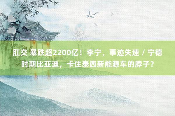 肛交 暴跌超2200亿！李宁，事迹失速 / 宁德时期比亚迪，卡住泰西新能源车的脖子？