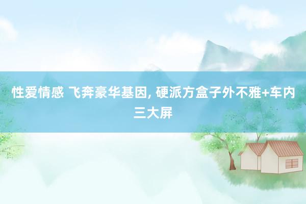 性爱情感 飞奔豪华基因， 硬派方盒子外不雅+车内三大屏