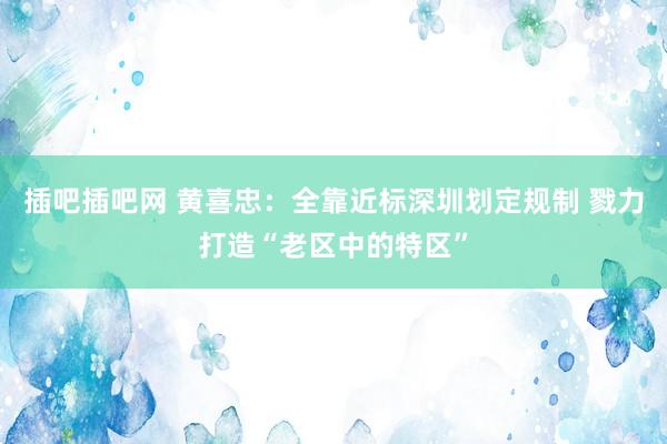 插吧插吧网 黄喜忠：全靠近标深圳划定规制 戮力打造“老区中的特区”