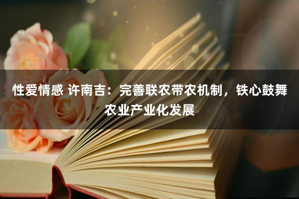 性爱情感 许南吉：完善联农带农机制，铁心鼓舞农业产业化发展