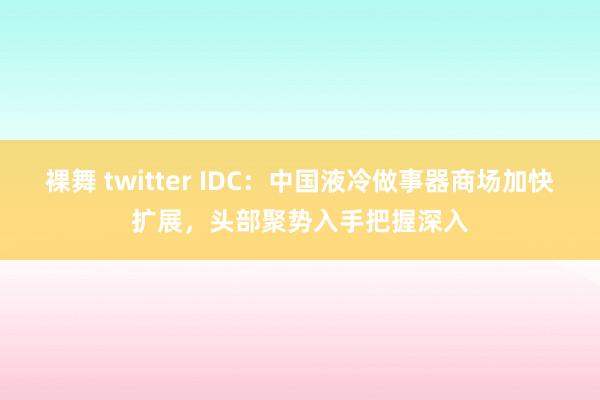裸舞 twitter IDC：中国液冷做事器商场加快扩展，头部聚势入手把握深入