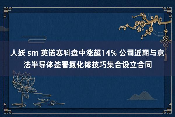 人妖 sm 英诺赛科盘中涨超14% 公司近期与意法半导体签署氮化镓技巧集合设立合同