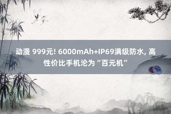 动漫 999元! 6000mAh+IP69满级防水， 高性价比手机沦为“百元机”