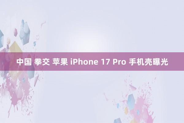 中国 拳交 苹果 iPhone 17 Pro 手机壳曝光