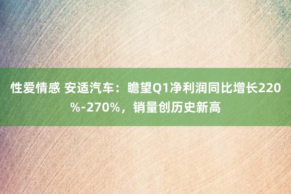 性爱情感 安适汽车：瞻望Q1净利润同比增长220%-270%，销量创历史新高
