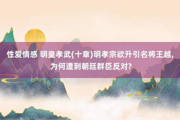 性爱情感 明皇孝武(十章)明孝宗欲升引名将王越， 为何遭到朝廷群臣反对?