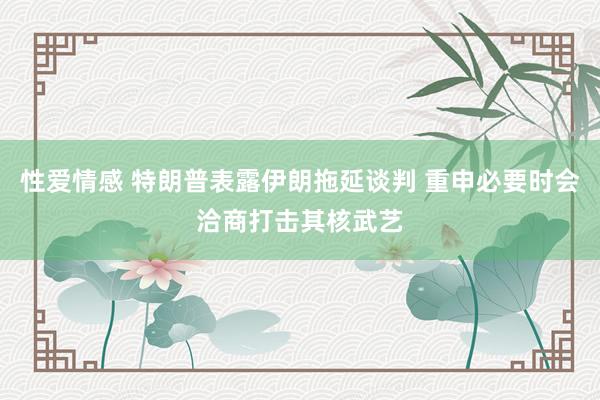 性爱情感 特朗普表露伊朗拖延谈判 重申必要时会洽商打击其核武艺