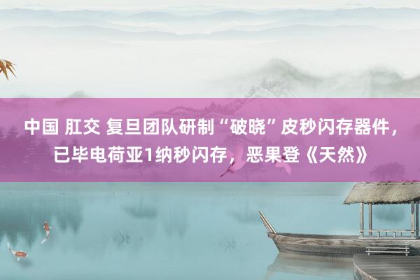 中国 肛交 复旦团队研制“破晓”皮秒闪存器件，已毕电荷亚1纳秒闪存，恶果登《天然》