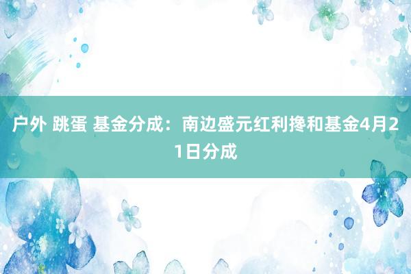 户外 跳蛋 基金分成：南边盛元红利搀和基金4月21日分成