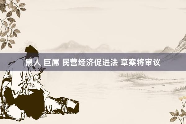 黑人 巨屌 民营经济促进法 草案将审议