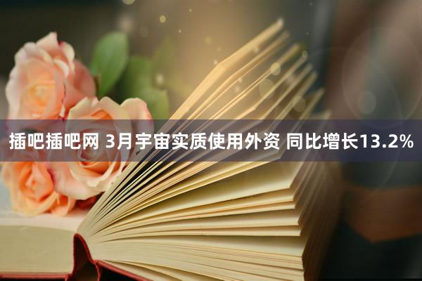 插吧插吧网 3月宇宙实质使用外资 同比增长13.2%