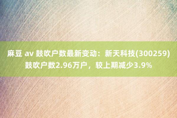 麻豆 av 鼓吹户数最新变动：新天科技(300259)鼓吹户数2.96万户，较上期减少3.9%