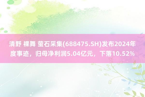 清野 裸舞 萤石采集(688475.SH)发布2024年度事迹，归母净利润5.04亿元，下落10.52%